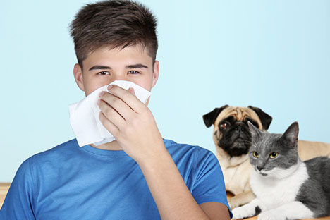 Is Your Pet Asthma and Allergy Friendly