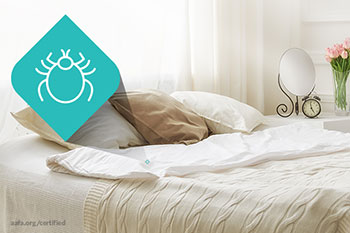 How to Help Keep Dust Mites at Bay