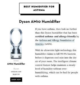 Dyson AM10 Humidifier