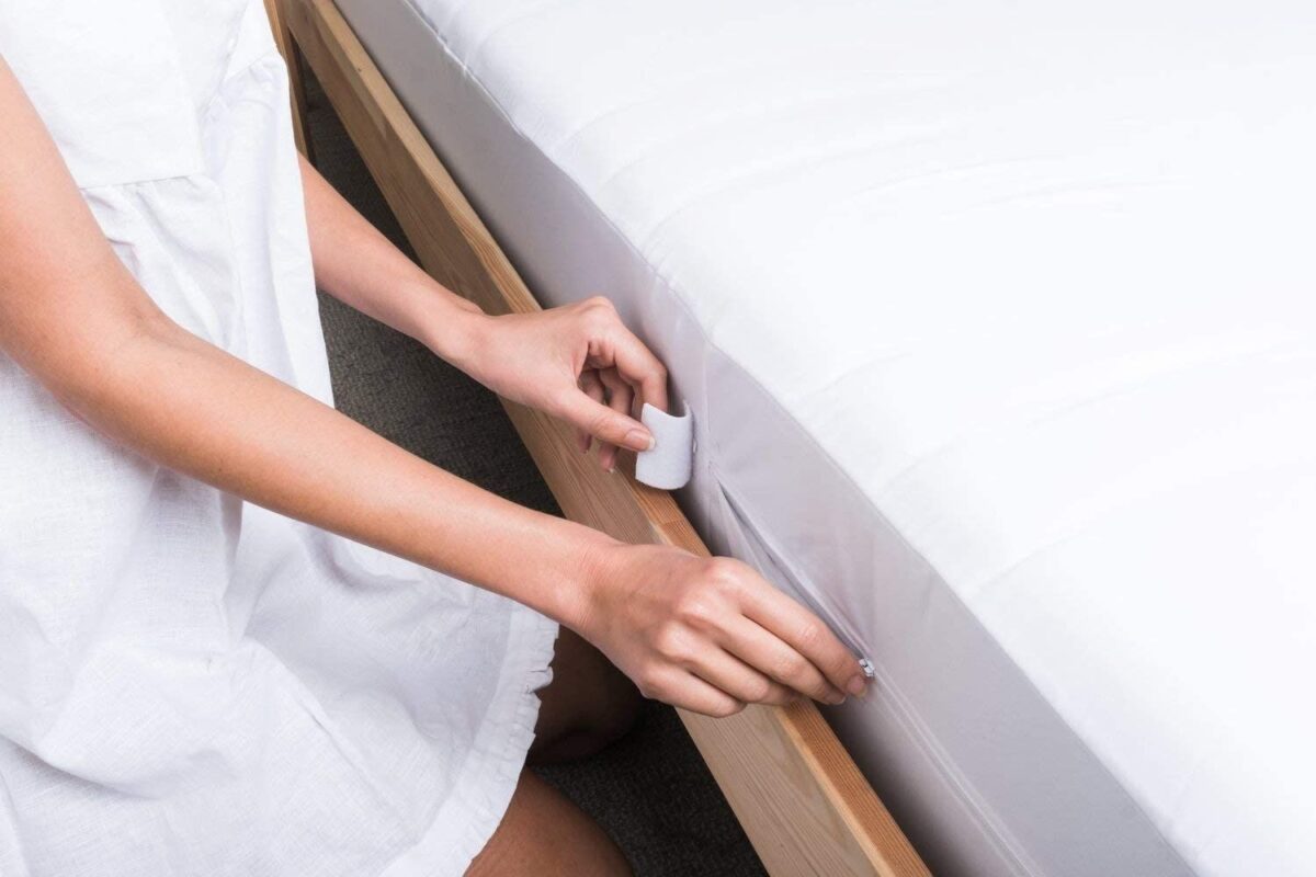 best bed bug mattress cover