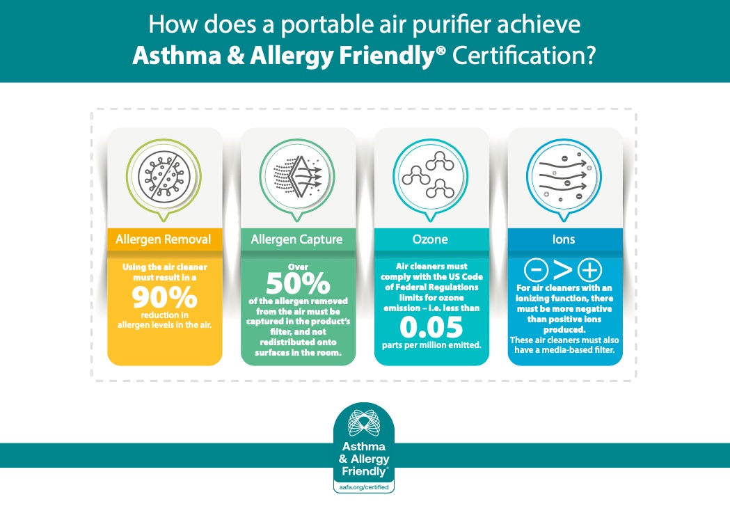 Portable air cleaner infographic