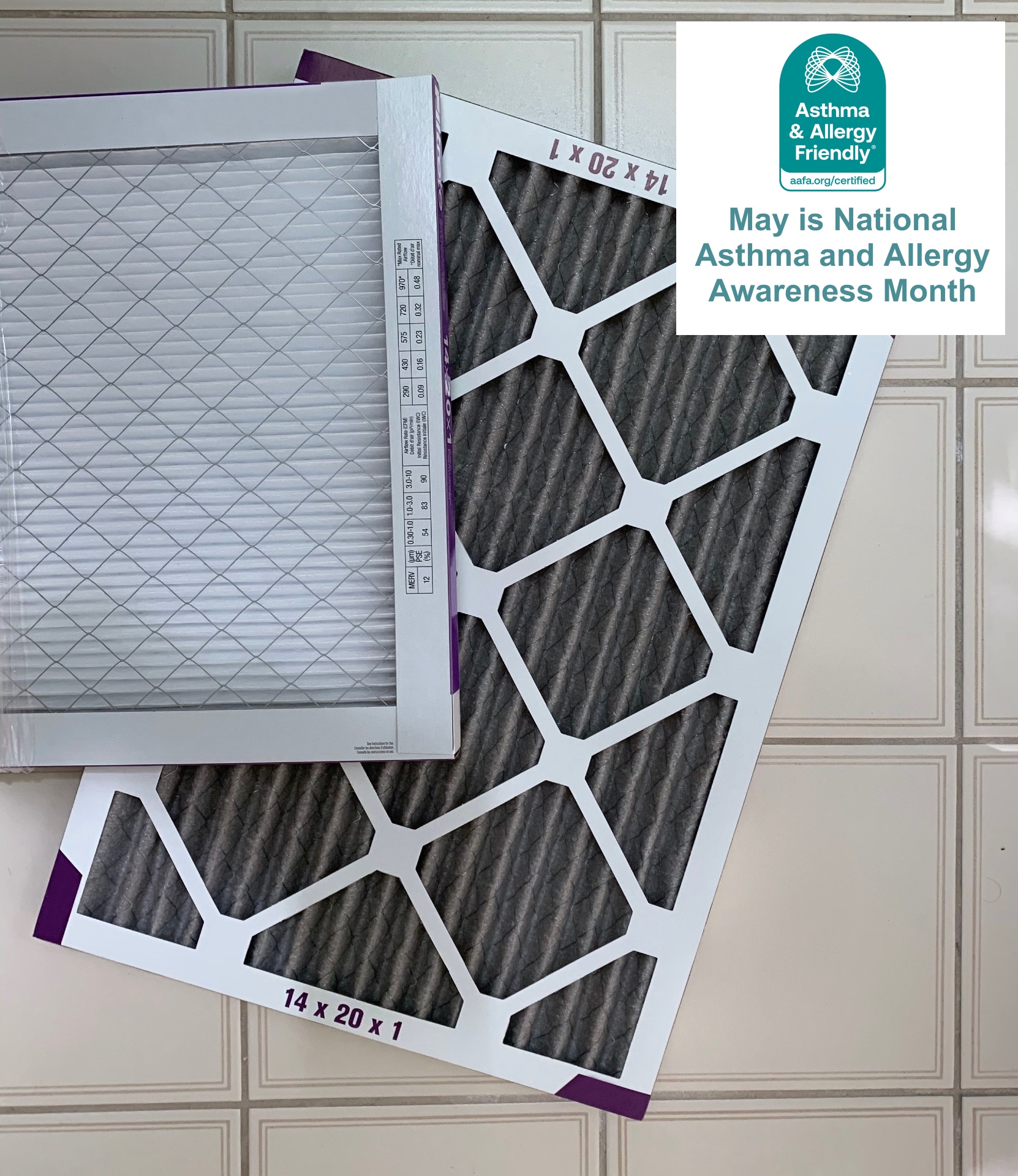 Choosing the Right HVAC Filters for a Healthier Home During Asthma and ...